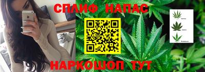дживик Донской