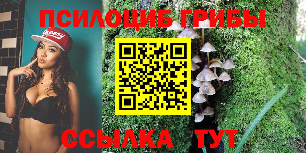Волхов  Галлюциногенные грибы Cubensis  Вход с VPN 