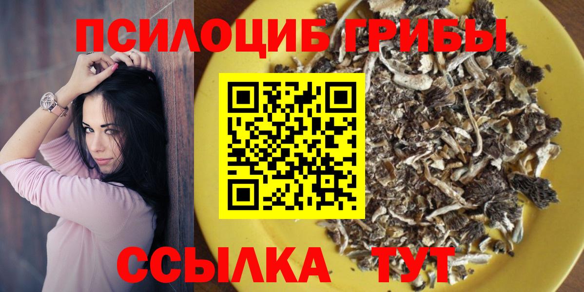 Псилоцибиновые грибы мухоморы Волхов